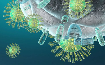 Immunology Laboratory