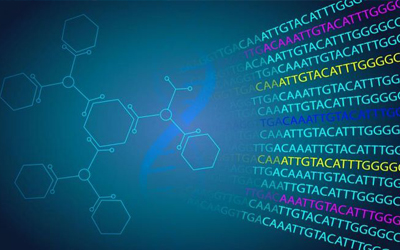Bioinformatics Center