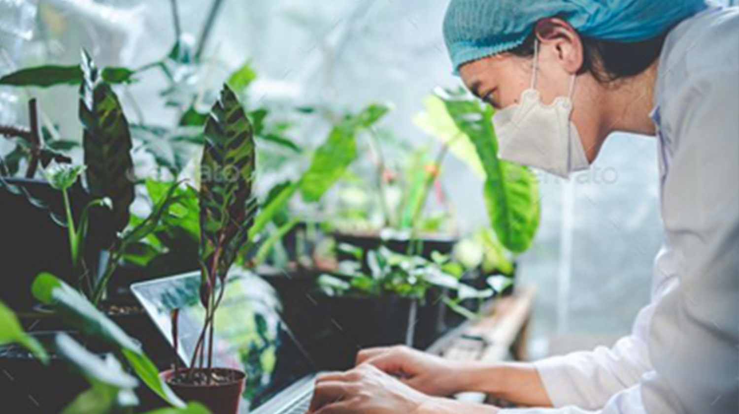 Faculty Members Department of Botany and Microbiology